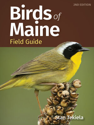 cover image of Birds of Maine Field Guide